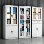 2-Door Metallic Office Cabinet 