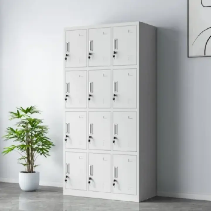 12-Door Steel Locker Cabinet 