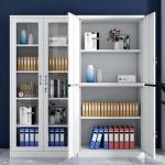 2-Door metallic full glass office cabinet 