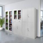 2-Door metallic office cabinet 