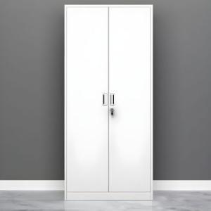 2-Door Vertical Metallic Cabinet 