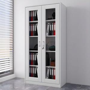 2-Door metallic storage & filling cabinet 