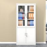 2-Door Metallic Office Cabinet 