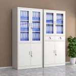 2-Door Metallic Office Cabinet 