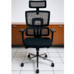 Orthopedic Executive Office Chair