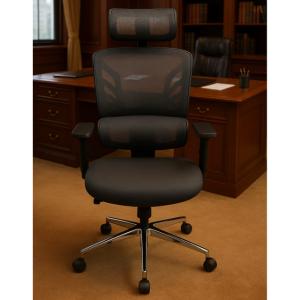 Ergonomic Office Chair