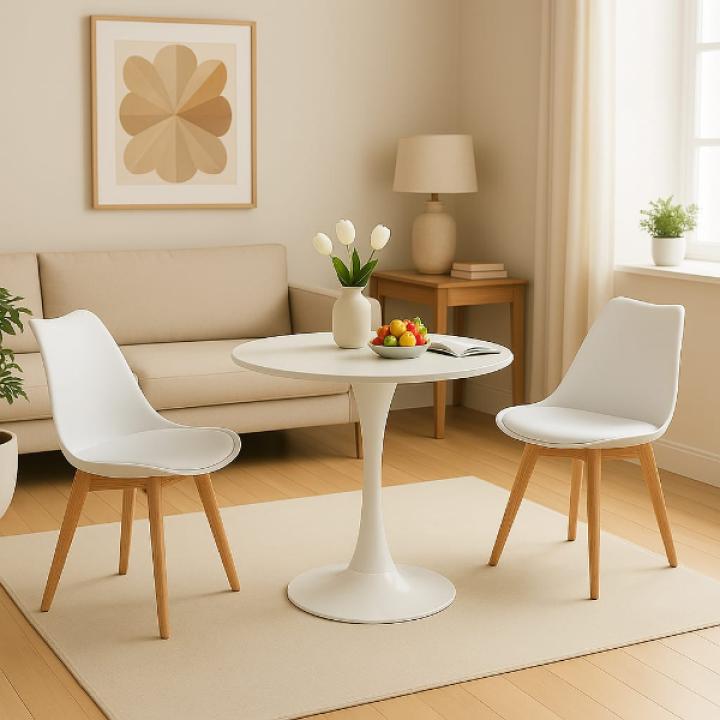 2 Dining Chairs & 1 round table