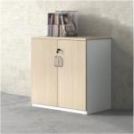 2 Door Storage Cabinet with Locking Door 