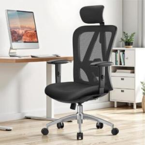 Ergonomic Mesh Office Chair with Adjustable Lumbar Support 