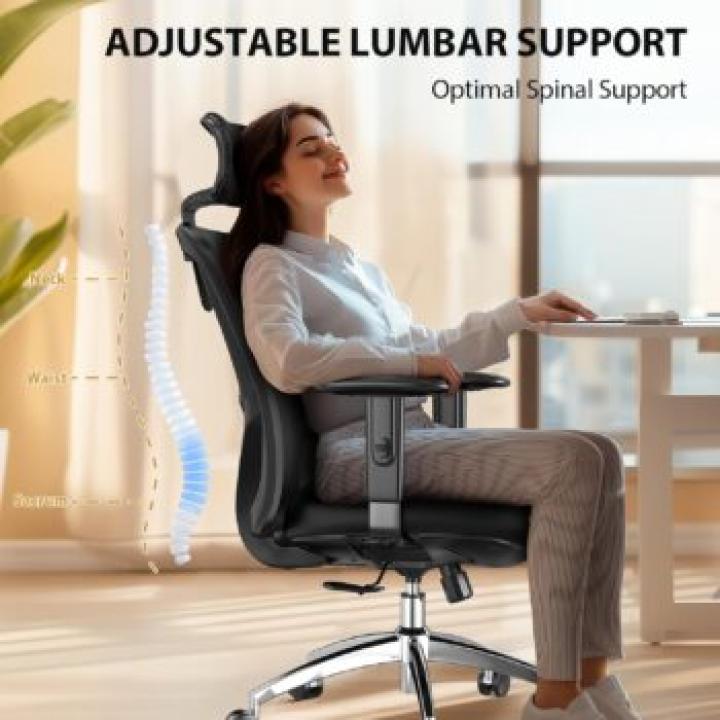Ergonomic Mesh Office Chair with Adjustable Lumbar Support 