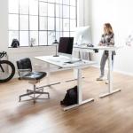 Electric Height Adjustable Standing Computer Desk 
