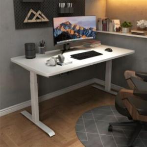 140cm Modern Electric Adjustable Desk 