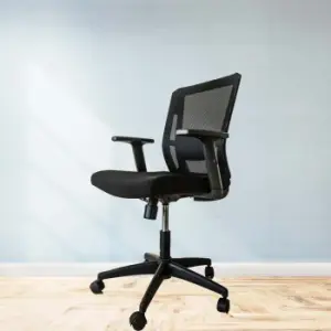 ErgoMesh Mid-Back Black Office Chair 