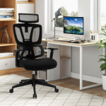 Ergonomic executive desk chair 