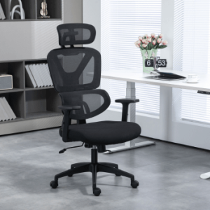 Ergonomic executive desk chair 