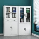 2-Door Office Metallic File Cabinet 
