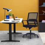 Ergonomic Desk Chair - Office Chair 