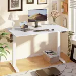 Adjustable Height Electric Standing Desk 