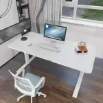 1200mm Height Adjustable Electric Desk 