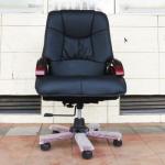 Director's Executive Office Chair 